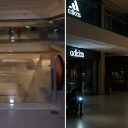 AVM’ler kapanınca ortaya çıkıyorlar: Bulduklarını affetmiyorlar