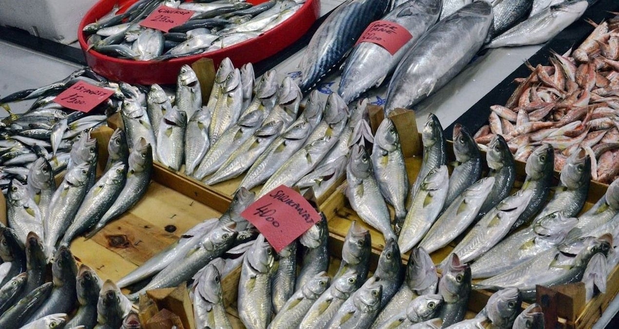 balikcilarin yuzunu gulduren haber geldi akin akin harekete gectiler V15LLmkV