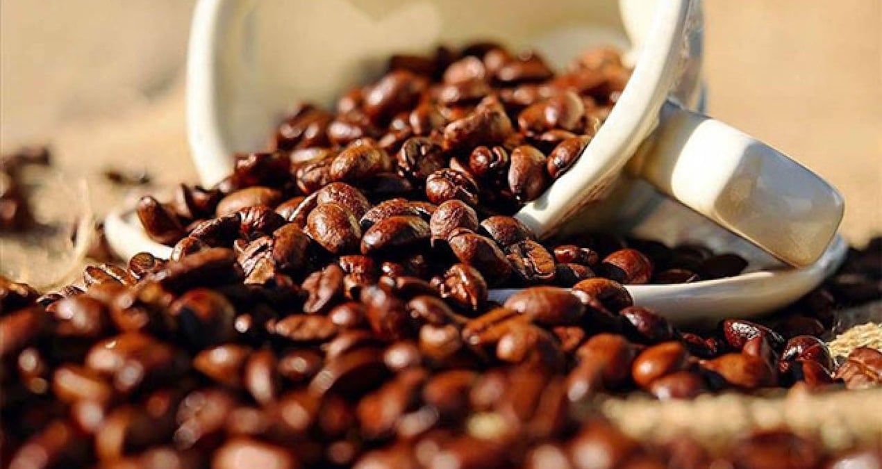 dunyanin en pahali kahvesi bir bardaginin fiyati dudak ucuklatti 2xZVLiP3