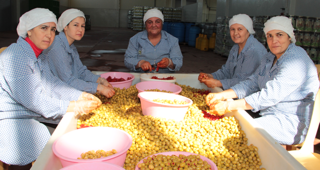 yesil zeytin ihracatinda tarihi rekor kirildi lUFnHLTq