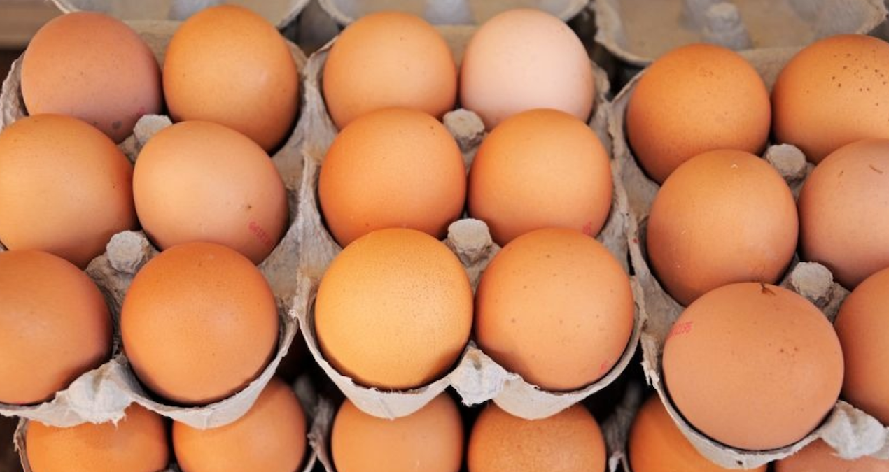 yumurta krizi kapida uretimde sert dusus 2gBLHpjc.jpg