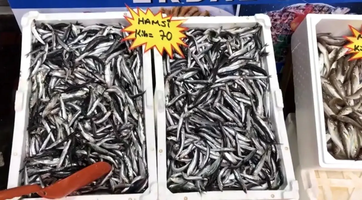 akcakoca balikci barinagi baskanindan taze balik uyarisi Zqb33hO9.jpg