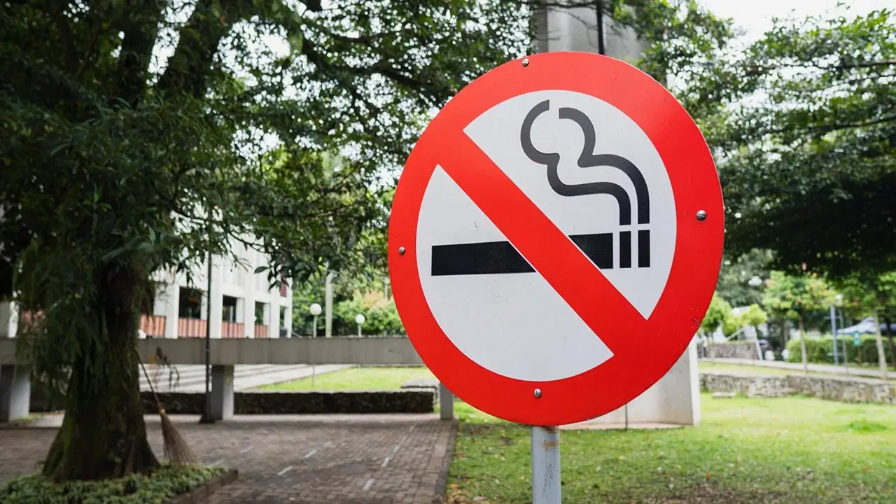 boluda cocuk parklarinda sigara icmek yasaklanacak VequBbL5.jpg