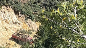 tartismali-maden-sahasinda-agac-kesimi-basladi-SOYieh9e