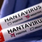 hantavirus-vakalari-neden-artiyor-uzman-isim-acikladi-TqR7dQLE